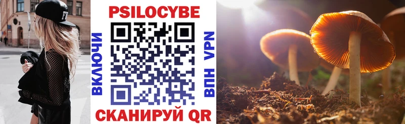Псилоцибиновые грибы прущие грибы  как найти закладки  Кяхта 